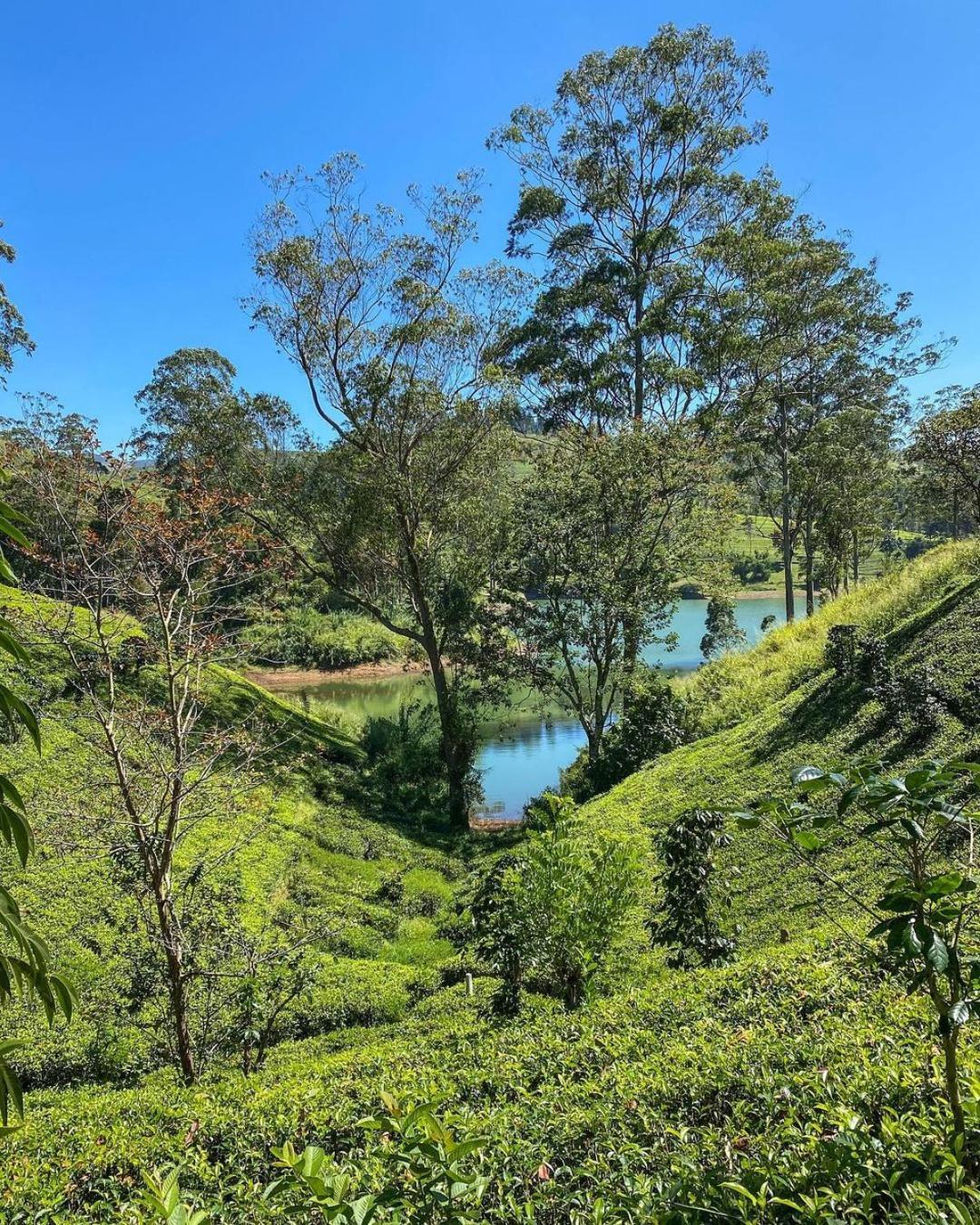 The Farm Resorts Dickoya Luaran gambar