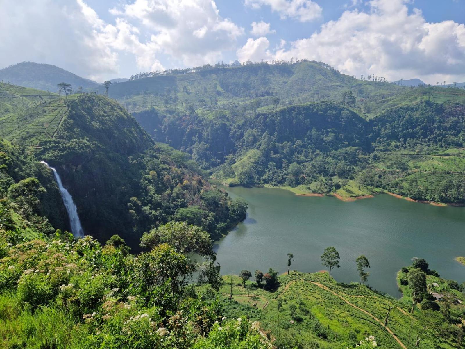 The Farm Resorts Dickoya Luaran gambar